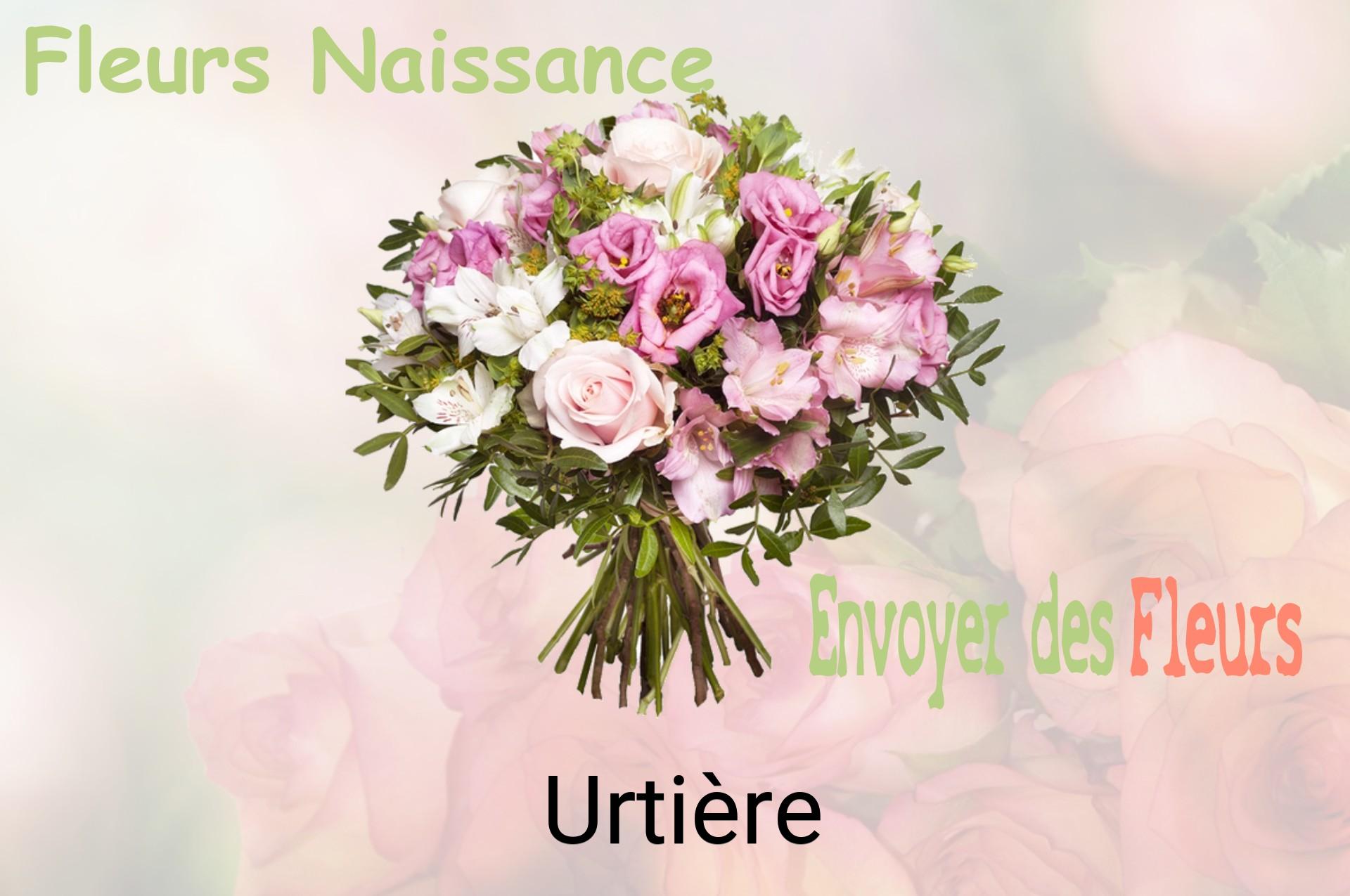 Bouquet de fleurs de naissance livré à Urtière